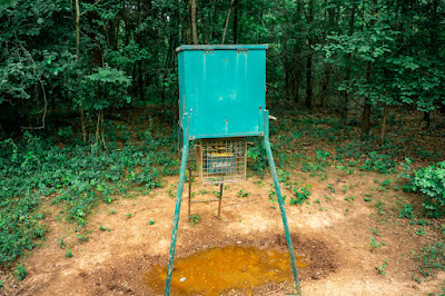 Whistle Stop Ranch photo 93