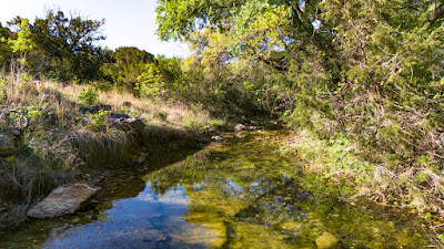 Settlement Branch Ranch photo 6