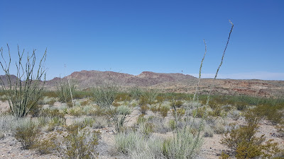 Terlingua Ranch track 38 gate 2 photo 4