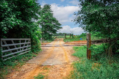 Whistle Stop Ranch photo 101