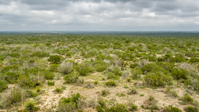 West Verde Ranch photo 14