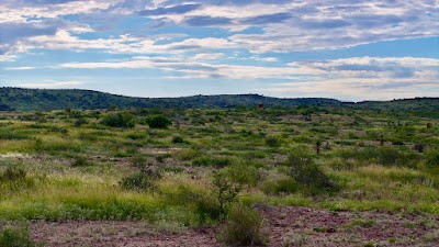 Tract 11, Sierra La Rana, Alpine, TX 79830 photo 6