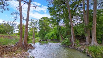 River Bend Ranch photo 8