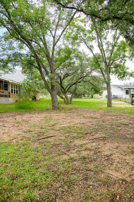 Lot 19 CR 132A photo 7