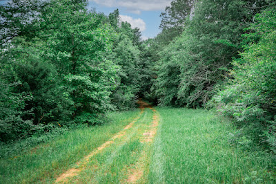 Whistle Stop Ranch photo 88