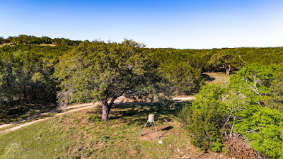 Settlement Branch Ranch photo 20
