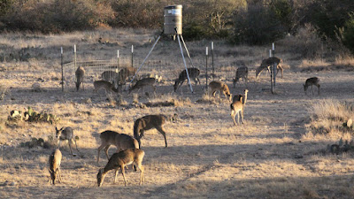 Lonesome Draw Ranch North photo 11