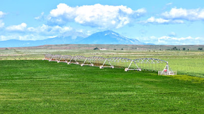 Oasis Farms photo 13