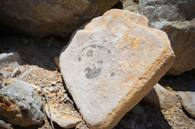 Dos Lobo Ranch photo 19