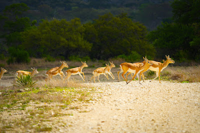 Bella Vista Ranch photo 18