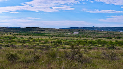 Tract 13, Sierra La Rana, Alpine, TX 79830 photo 6