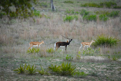 Bella Vista Ranch photo 16
