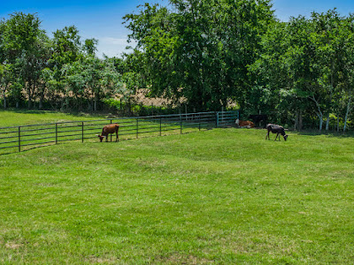 New Ulm Ranch photo 12
