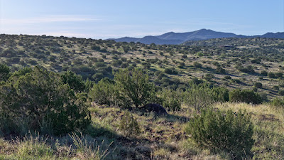 Tract 57R, Sierra La Rana, Alpine, TX 79830 photo 4