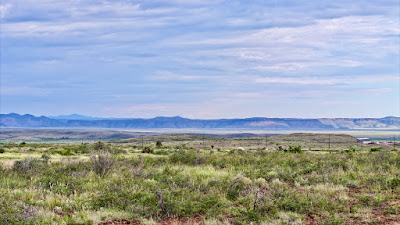 Tract 7, Sierra La Rana, Alpine, TX 79830 photo 7