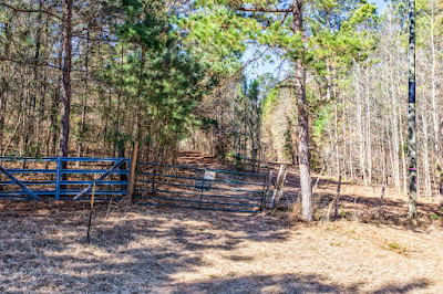 1609 C R 246 S photo 34