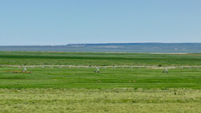 Oasis Farms photo 15