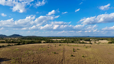 Winans Creek Lot 67