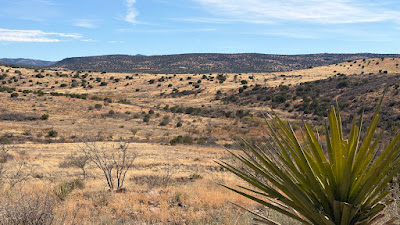 Scenic Ridge Ranch photo 3