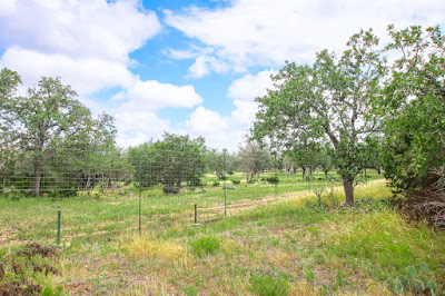 Rancho de Cacería photo 27