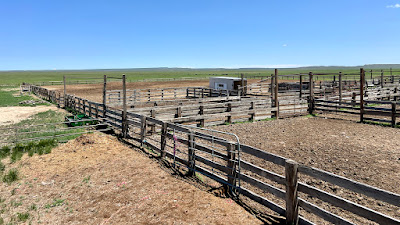 Oasis Farms photo 73