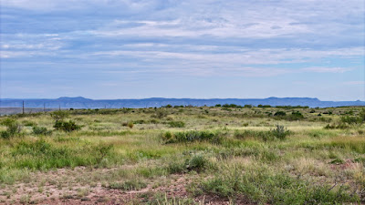 Tract 4, Sierra La Rana, Alpine, TX 79830 photo 9