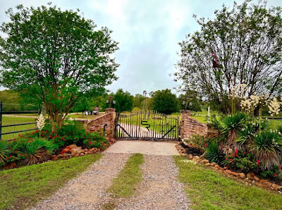 20650 Fm 2154 Road photo 5