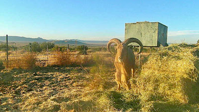 Cinco Valles Ranch photo 35