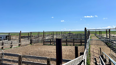 Oasis Farms photo 70