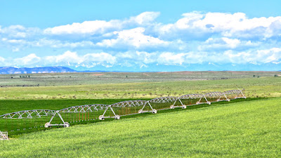 Oasis Farms photo 11