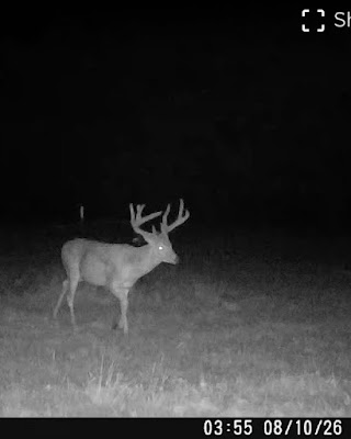 The Kennedy Ranch photo 36