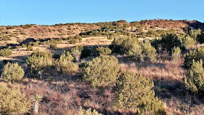 Cinco Valles Ranch photo 31