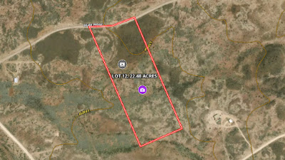 Tract 12, Sierra La Rana, Alpine, TX 79830 photo 9