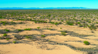 Moore Ranch