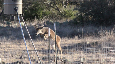 Lonesome Draw Ranch North photo 9