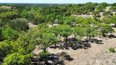 Loma Vista Ranchette photo 5