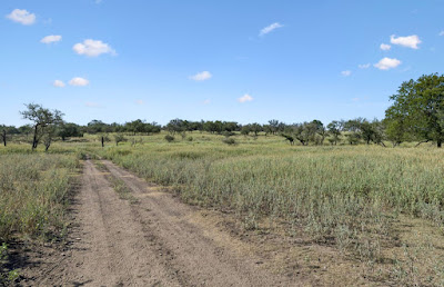 Heritage Springs Ranch photo 6