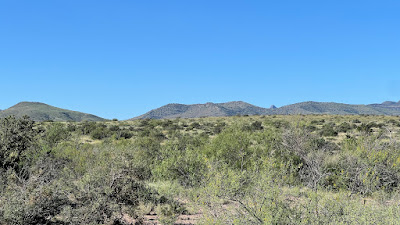 Tract 34, Sierra La Rana, Alpine, TX 79830 photo 11