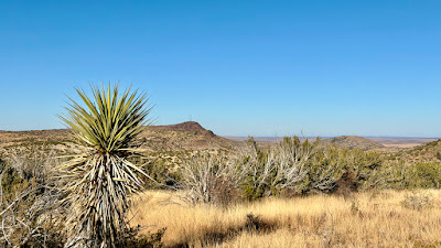 Cinco Valles Ranch photo 1