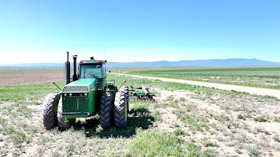 Oasis Farms photo 89