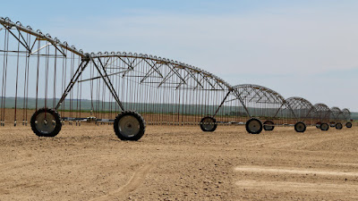 Oasis Farms photo 21