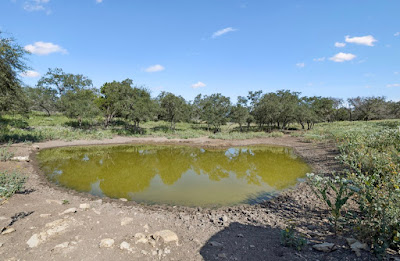 Heritage Springs Ranch photo 25