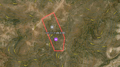 Tract 111, Sierra La Rana, Alpine, TX 79830 photo 2