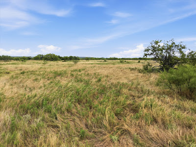 TBD State Hwy 16 Strawn, Texas photo 24