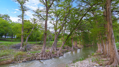River Bend Ranch photo 9