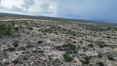 Lobo Trail Ranch photo 14