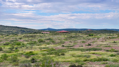 Tract 7, Sierra La Rana, Alpine, TX 79830 photo 3