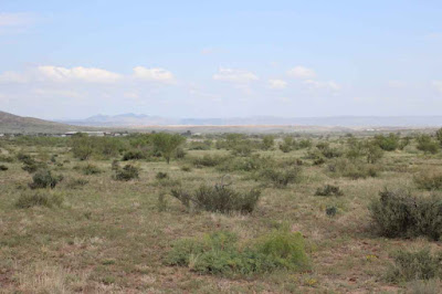 Tract 15R, Sierra La Rana, Alpine, TX 79830 photo 6