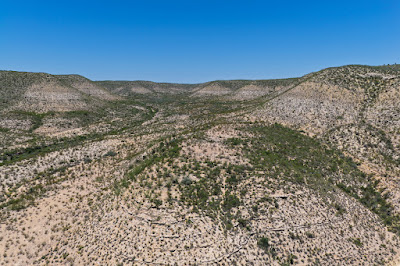 Dryden 350 photo 4