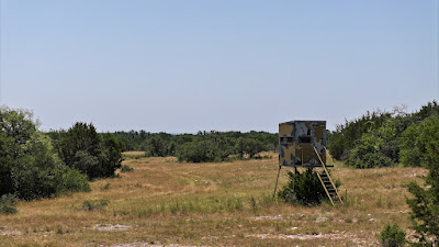 Lonesome Draw Ranch North photo 17